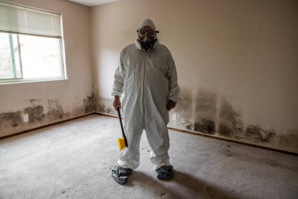 Trusted Pecan Plantation, TX Mold Remediation Experts